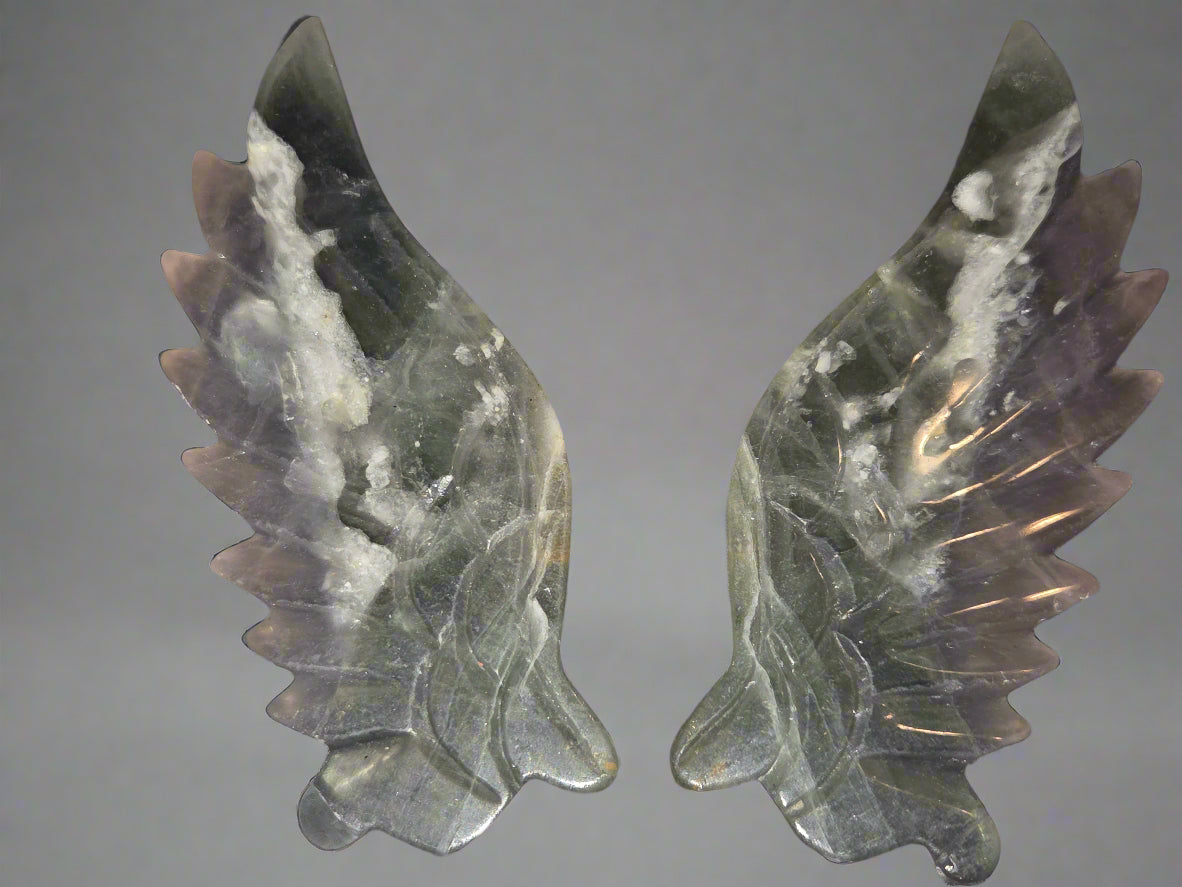 Fluoride unicorn wings
