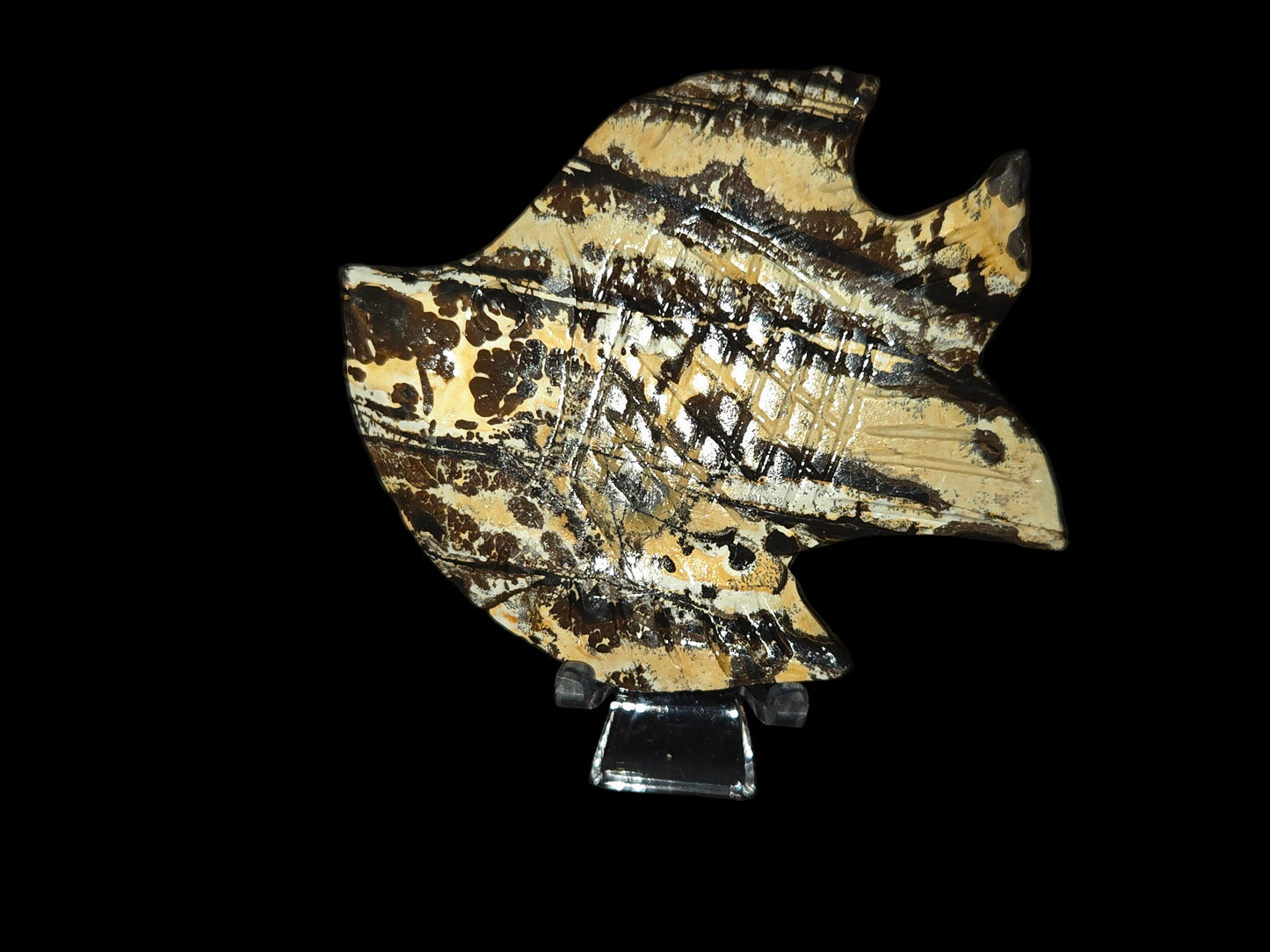 Picture jasper fish A