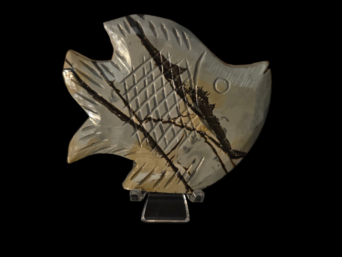 Picture jasper fish D