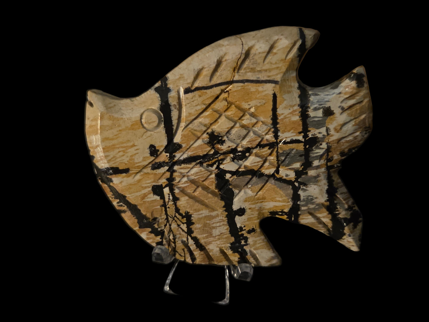 Picture jasper fish E