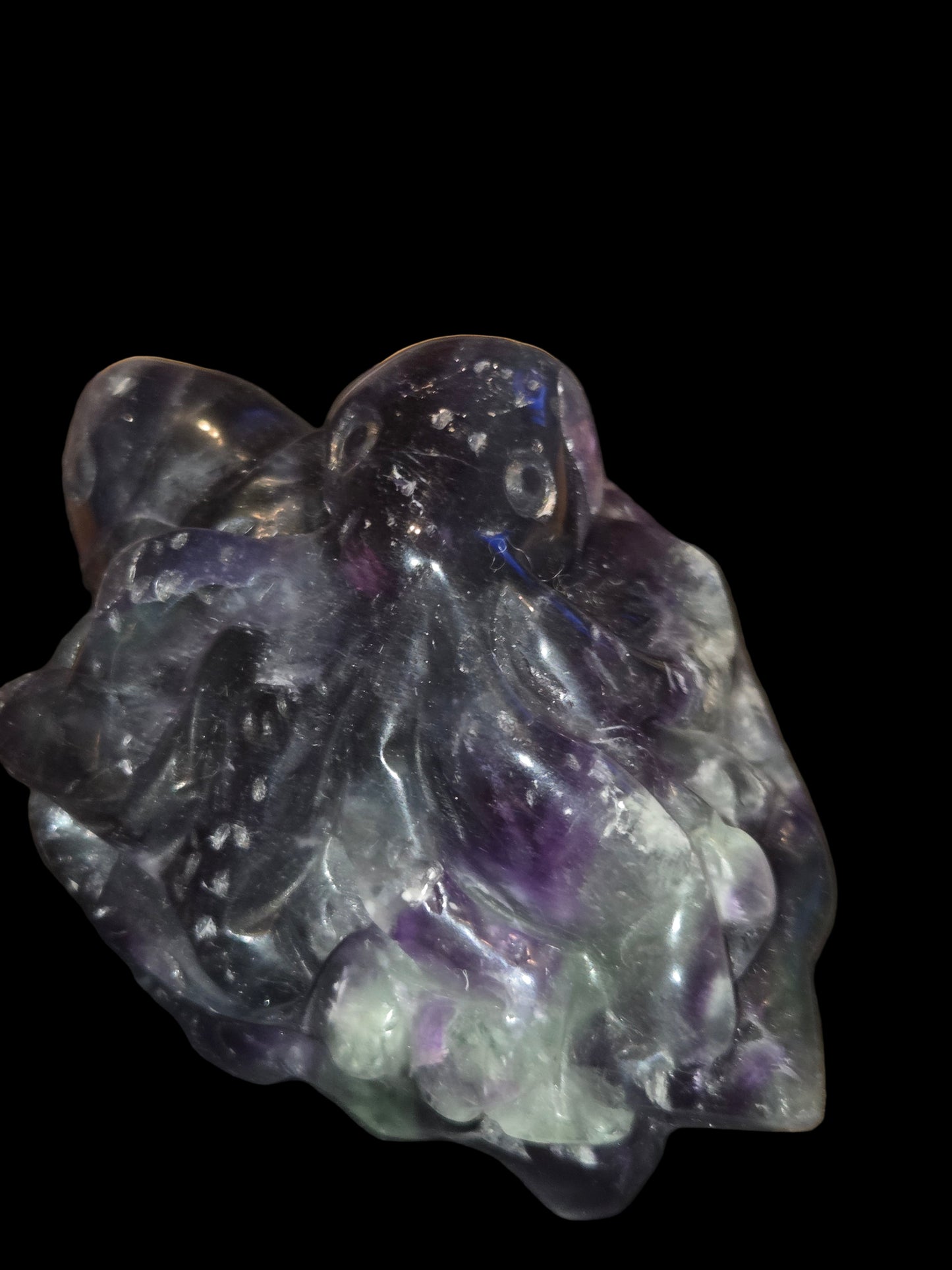 Rainbow fluoride turtle octopus carving