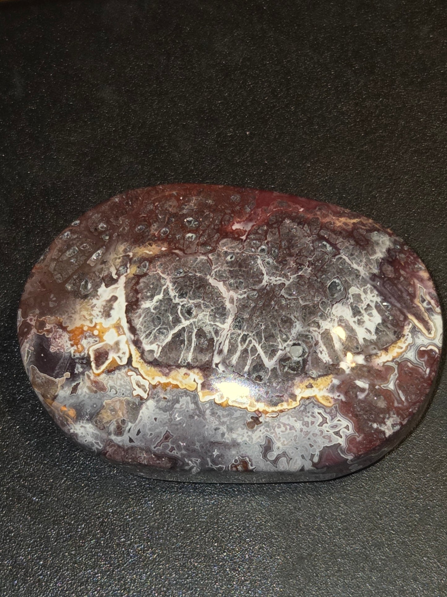 Mexican agate palm stone