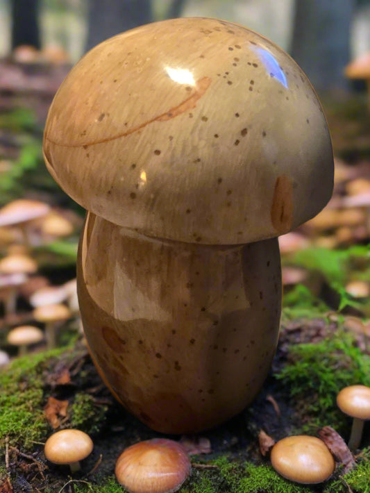 Polychrome Jasper mushroom