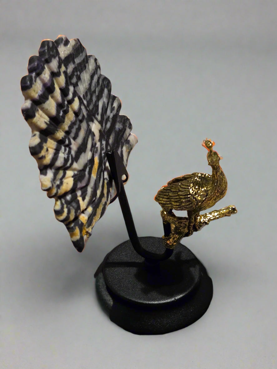 Coral agate peacock