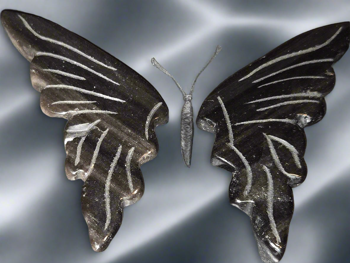 Silver obsidian butterfly