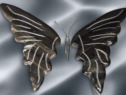 Silver obsidian butterfly