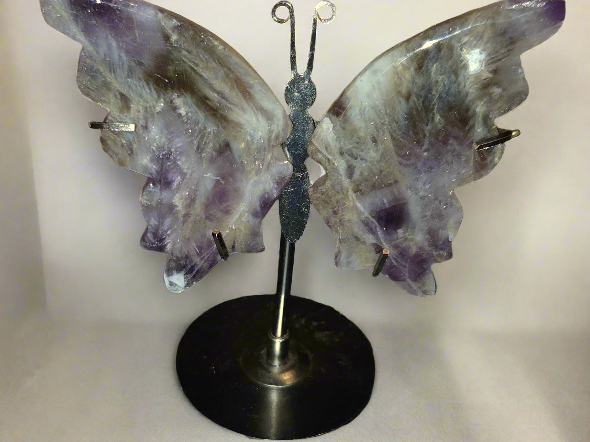 Amethyst butterfly wings