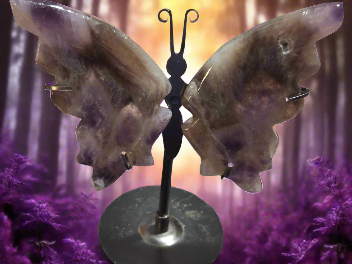Amethyst butterfly wings