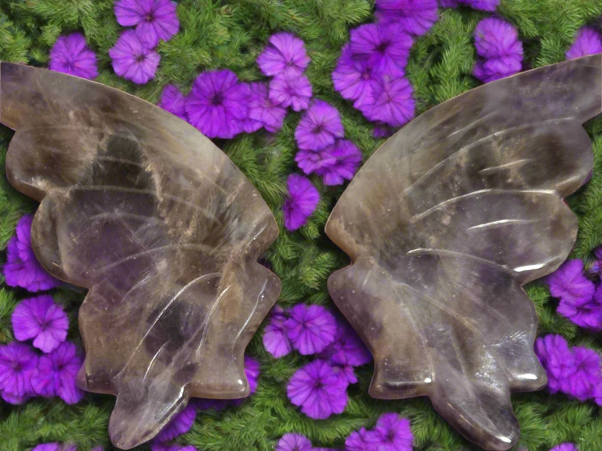 Amethyst butterfly wings