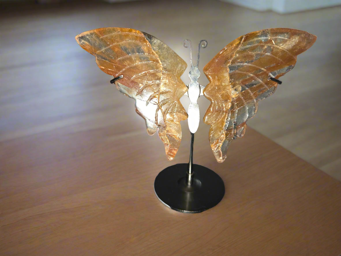 Golden healer butterfly wings