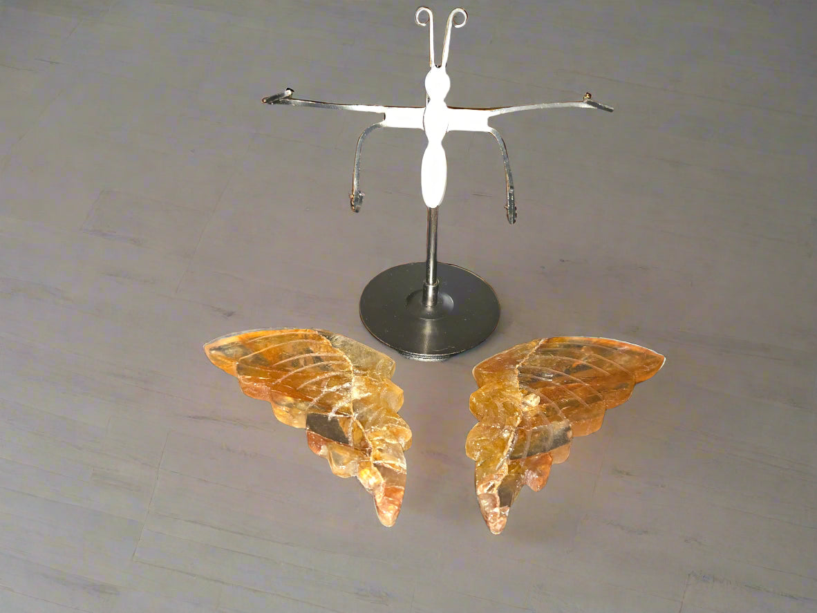 Golden healer butterfly wings