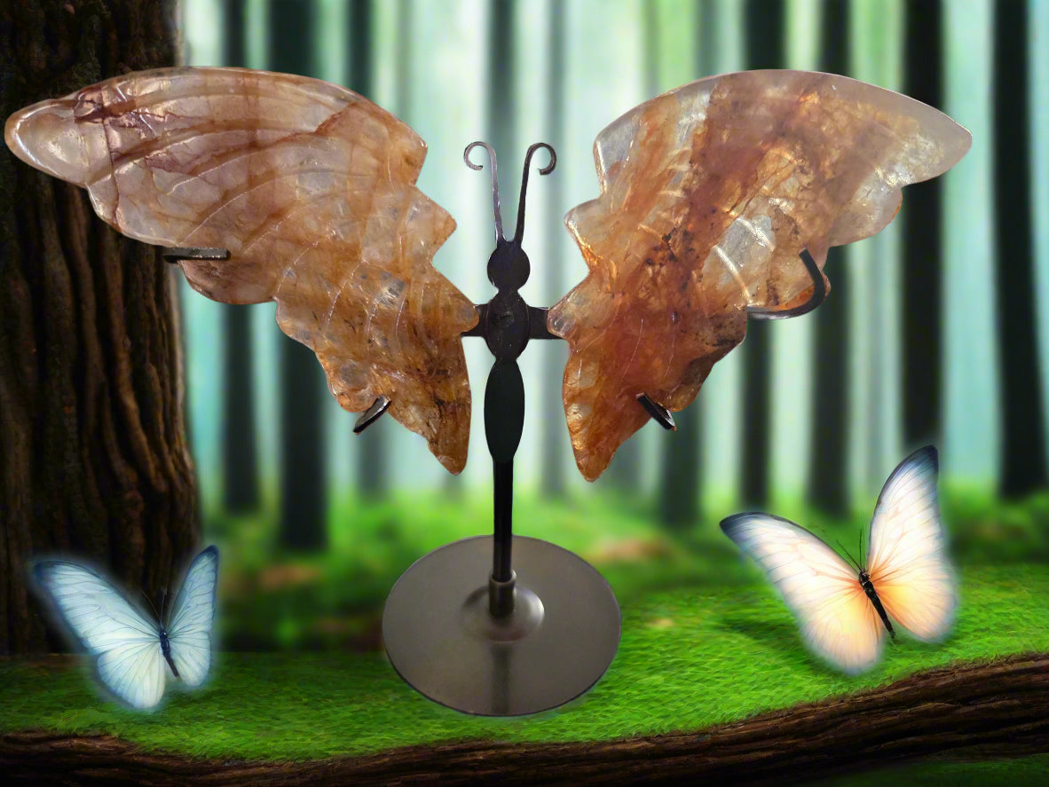 Golden healer butterfly wings