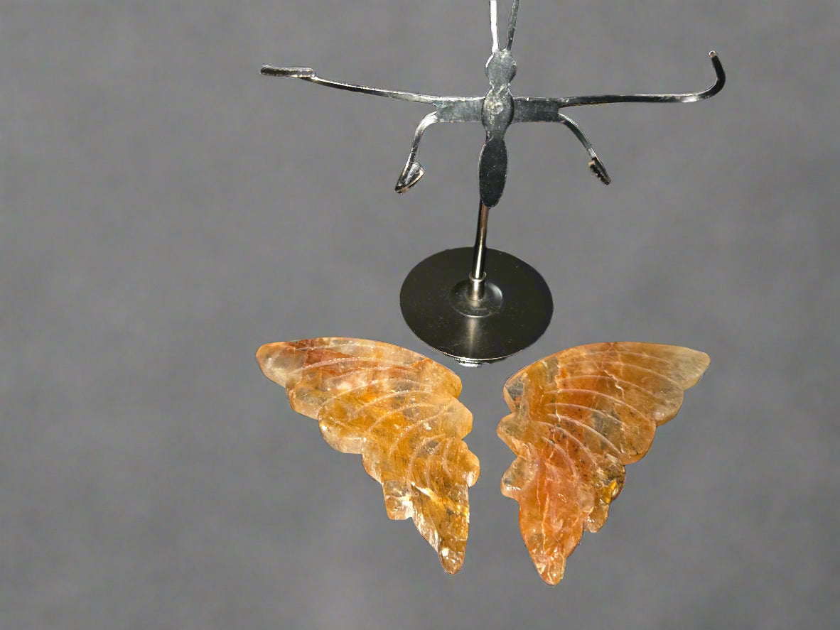 Golden healer butterfly wings