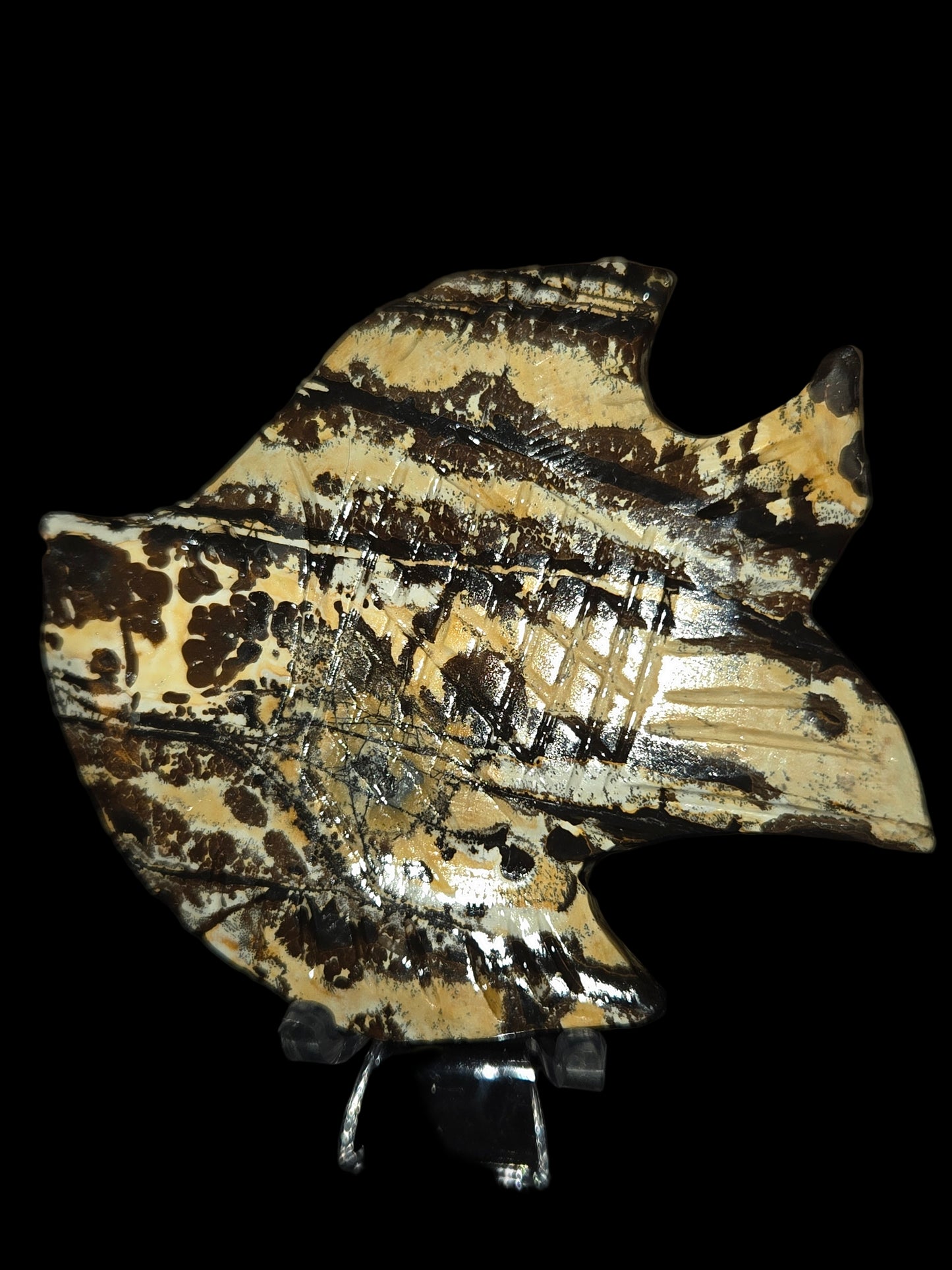 Picture jasper fish A