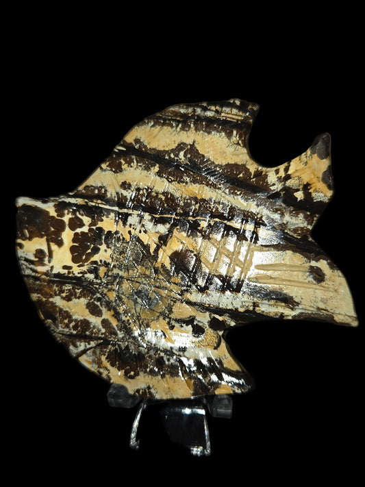 Picture jasper fish A
