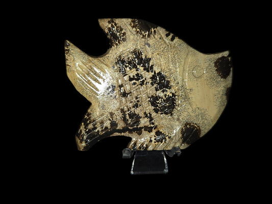 Picture jasper fish B