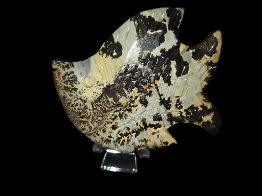 Picture jasper fish C