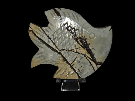 Picture jasper fish D