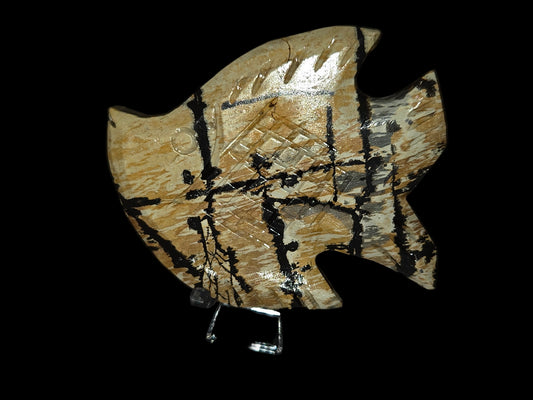 Picture jasper fish E