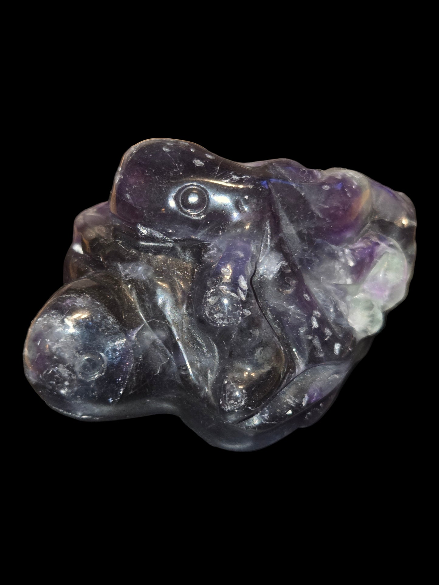 Rainbow fluoride turtle octopus carving