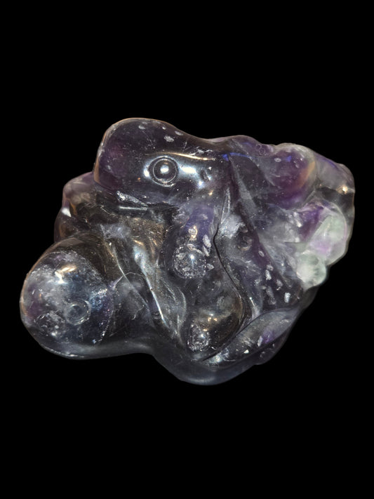 Rainbow fluoride turtle octopus carving