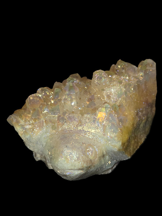 Aurora quartz turtle