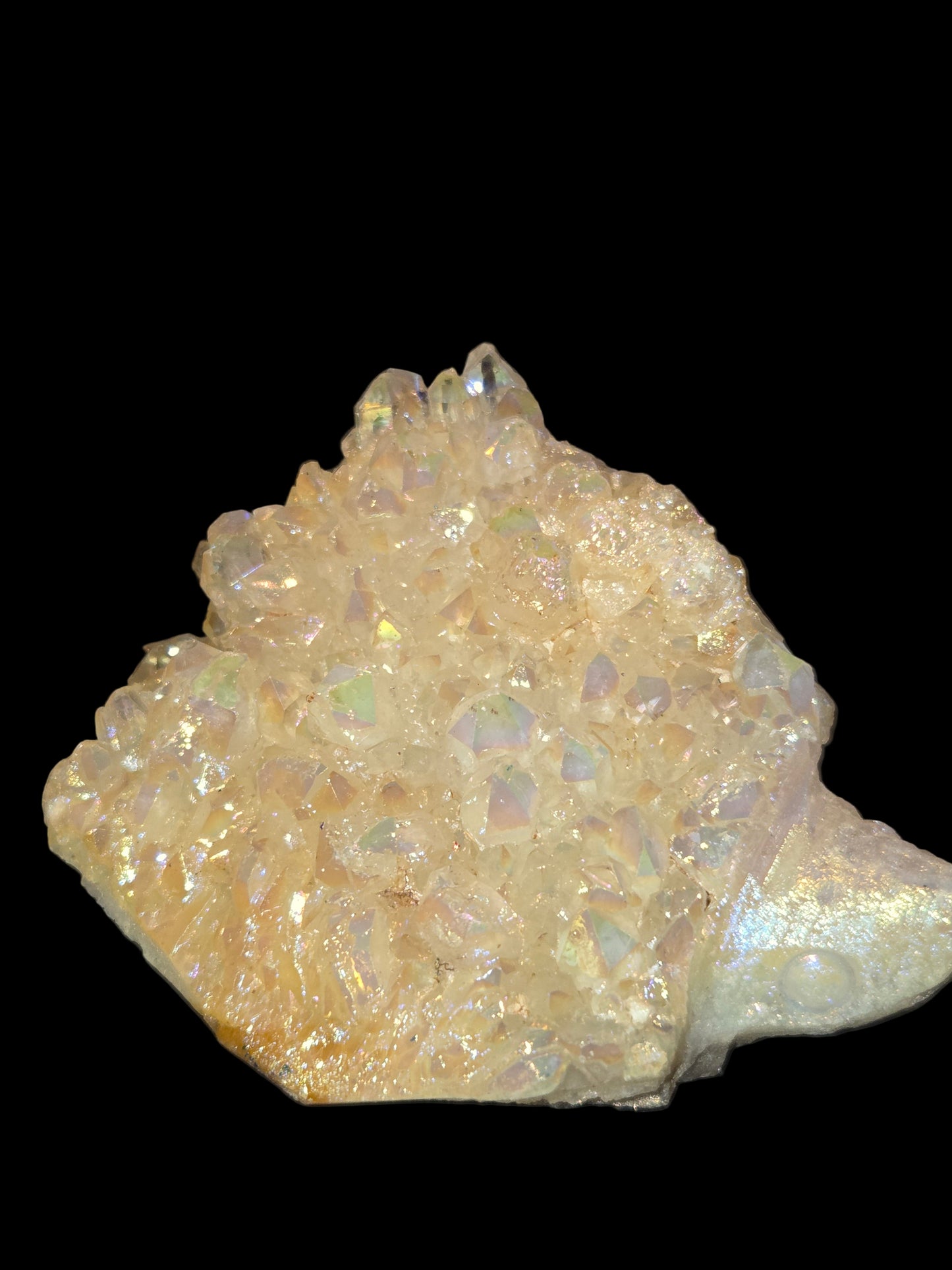 Aurora quartz turtle