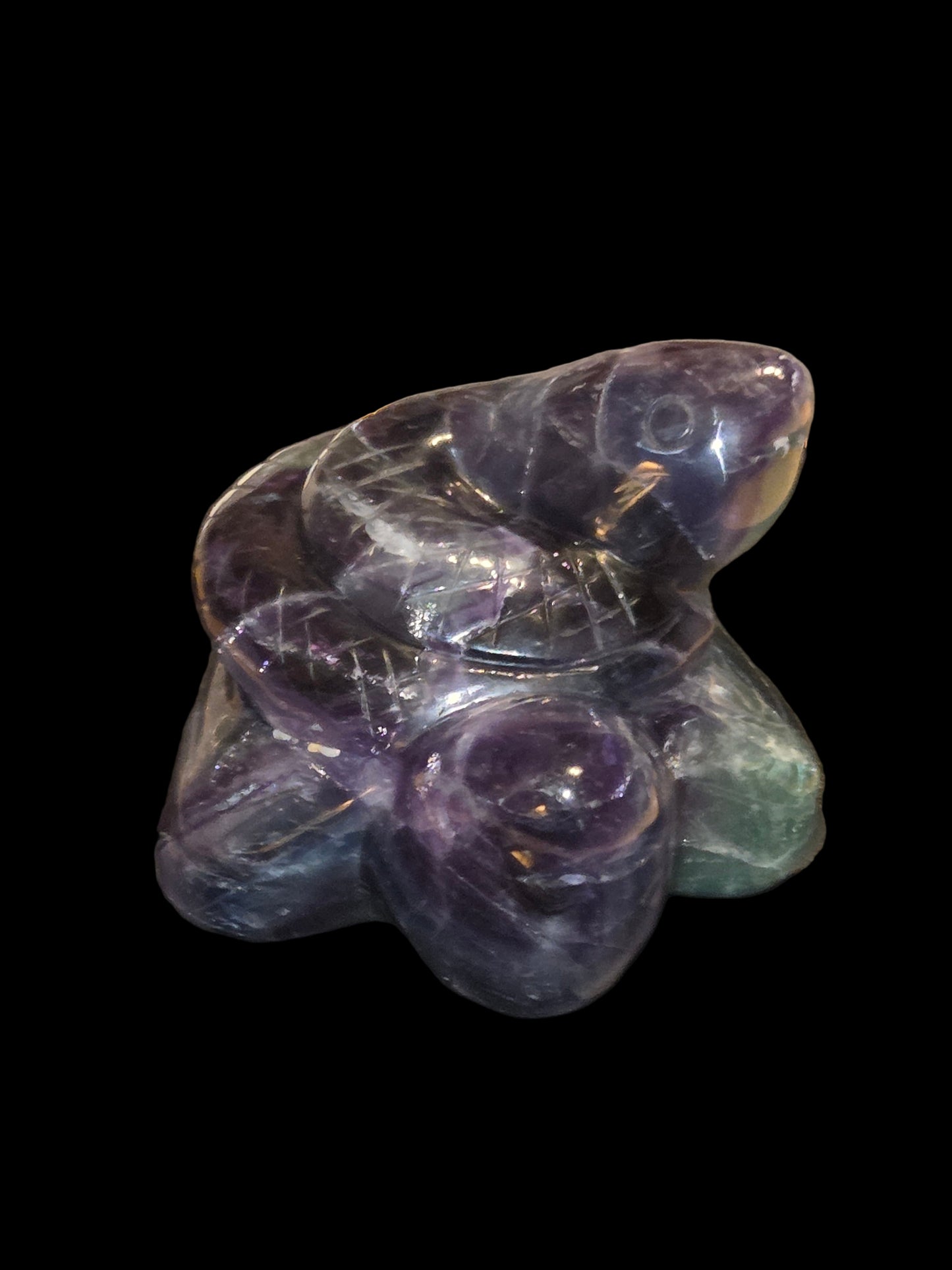 Rainbow fluoride snake turtle carving