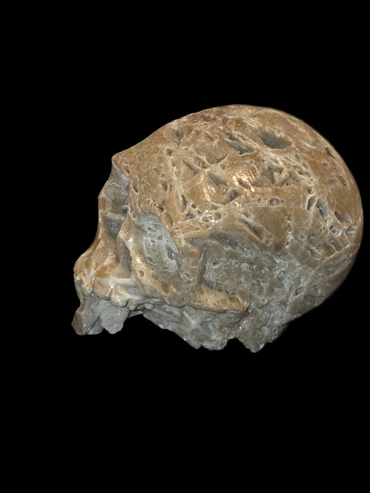 Sphalerite skull