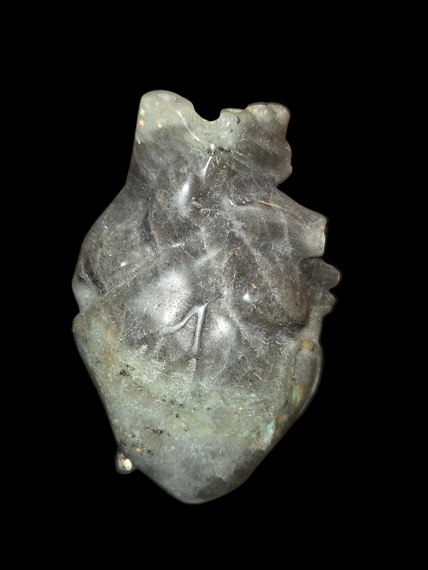 Labdroite human heart