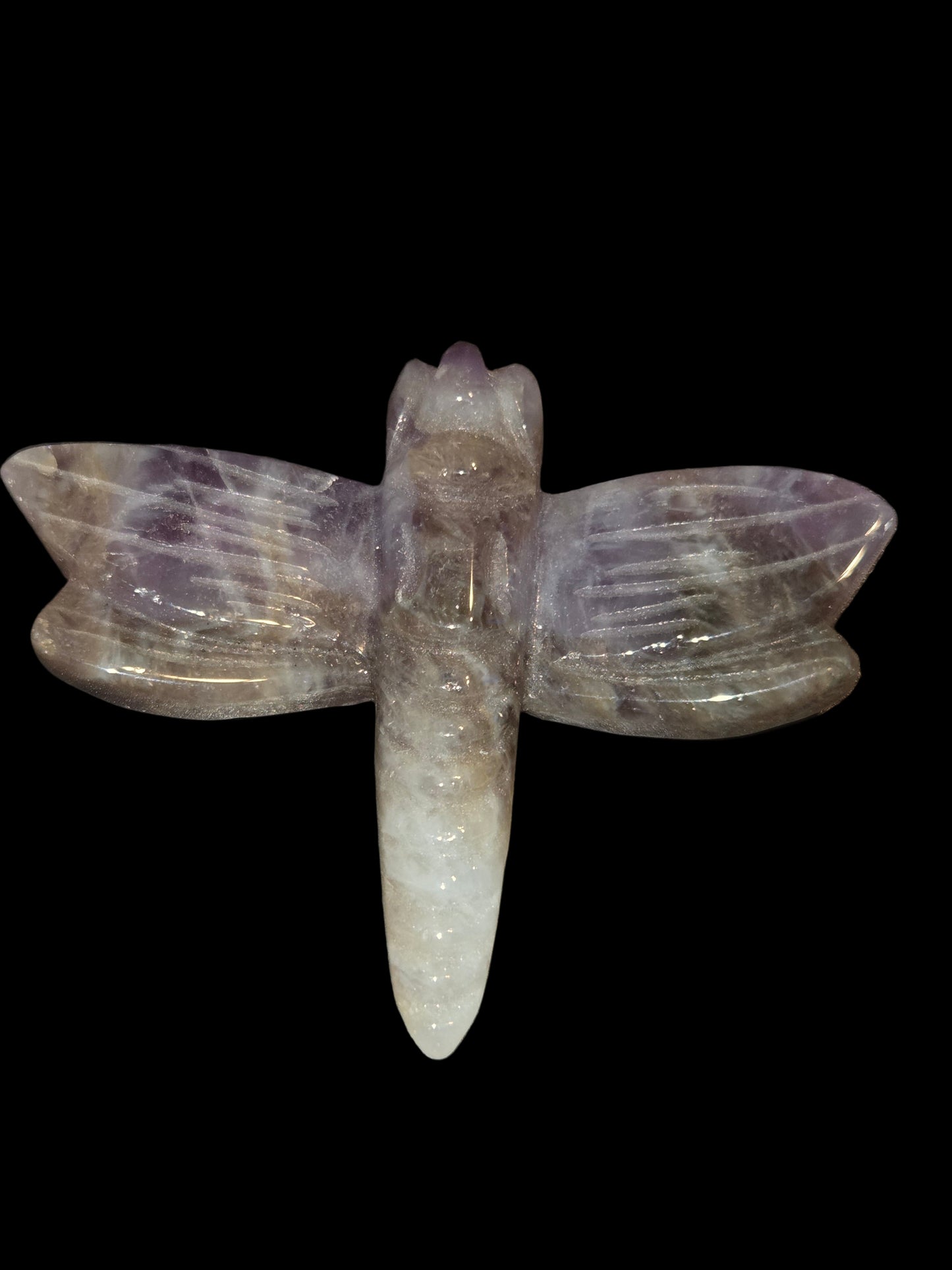 Amethyst dragonfly