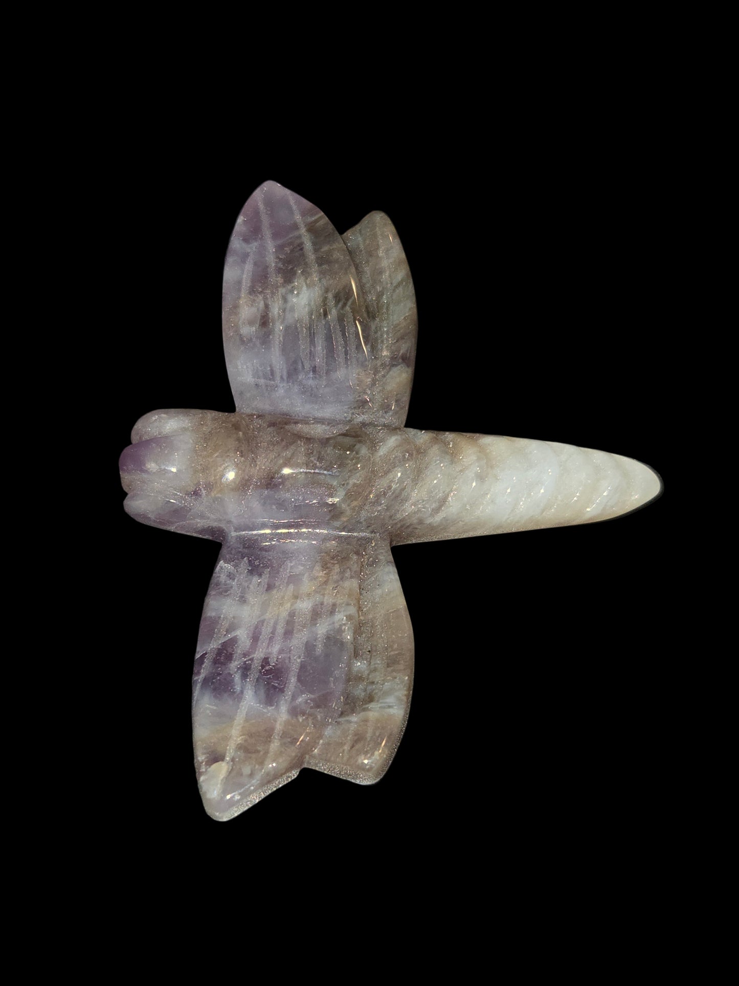 Amethyst dragonfly