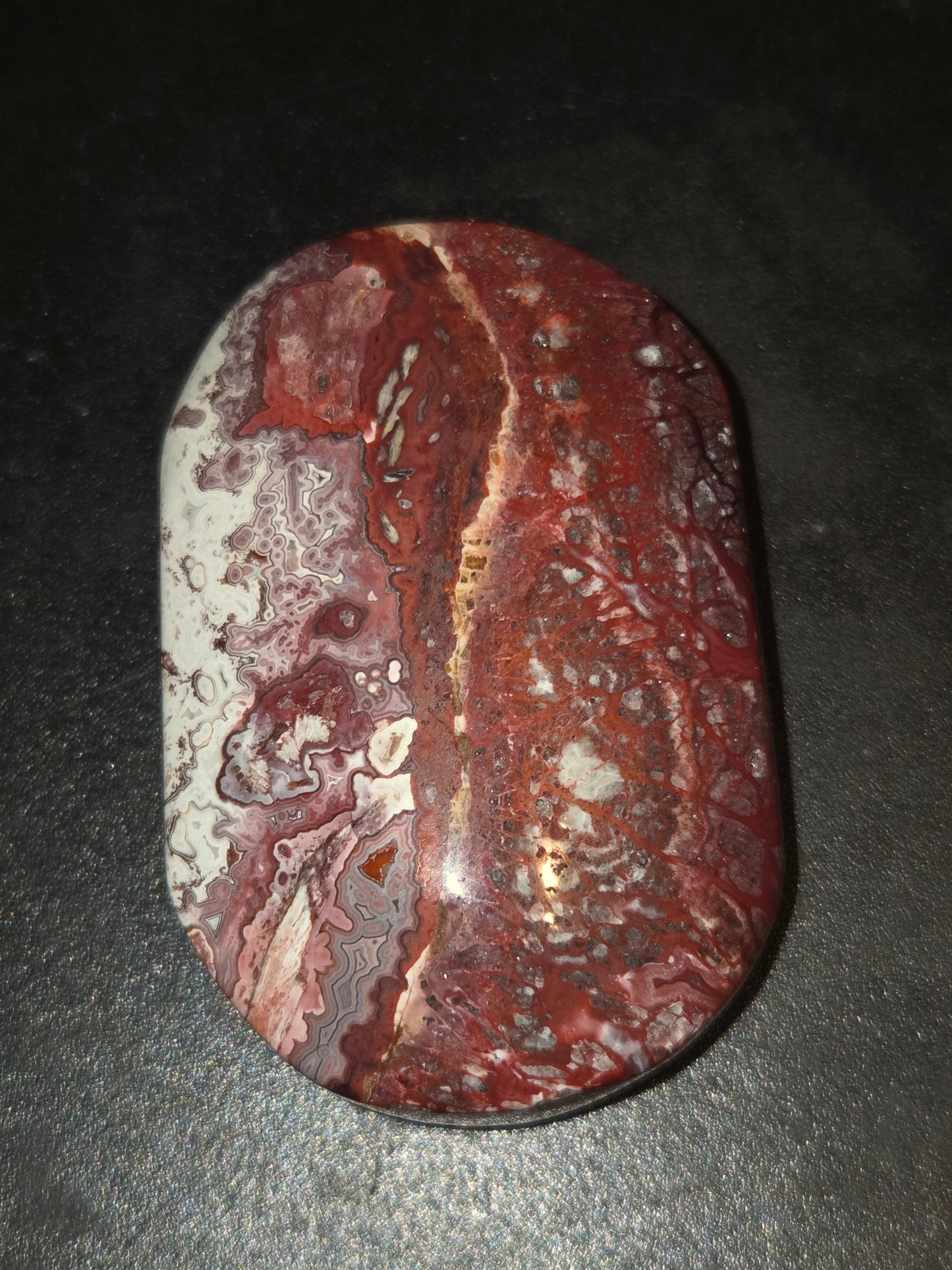Mexican agate palm stone