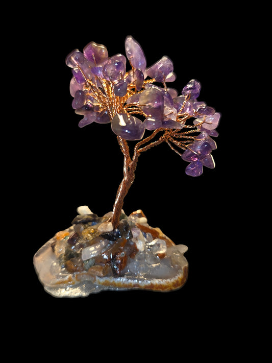 Amethyst money tree