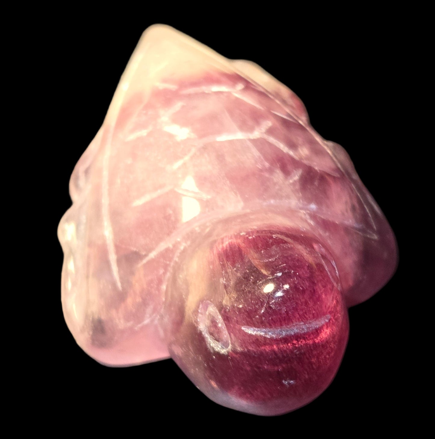 Purple fluoride turtle