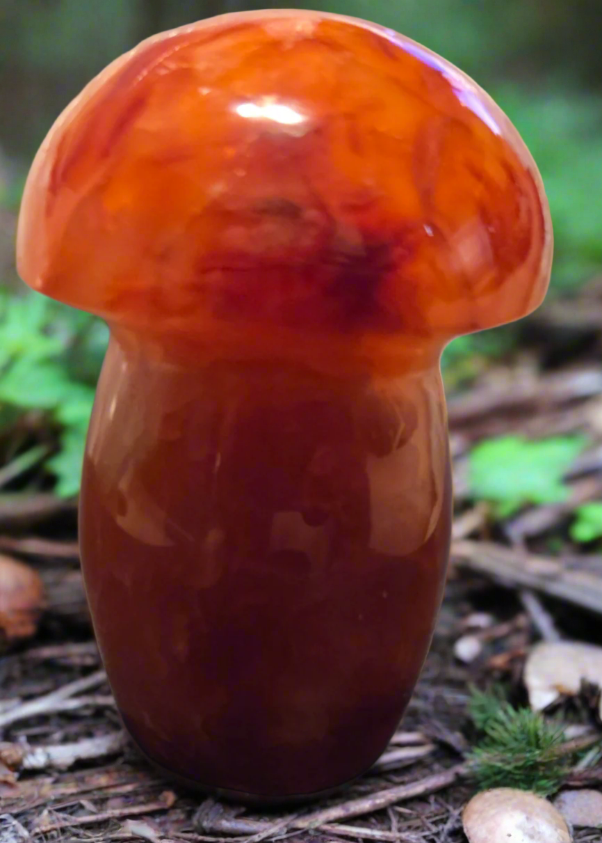 Carnelian mushroom