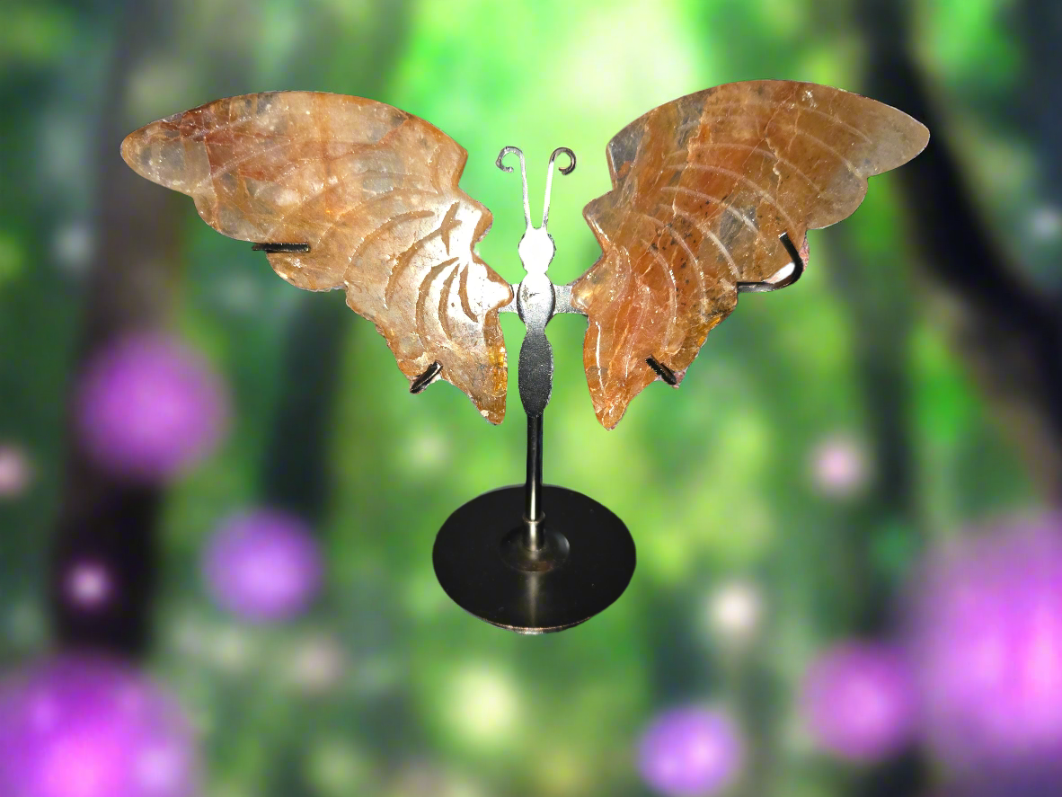 Golden healer butterfly wings