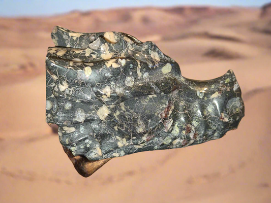 Zebra Jasper Dragon Skull