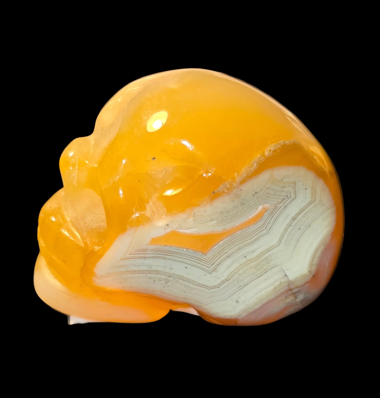 Lace agate skull