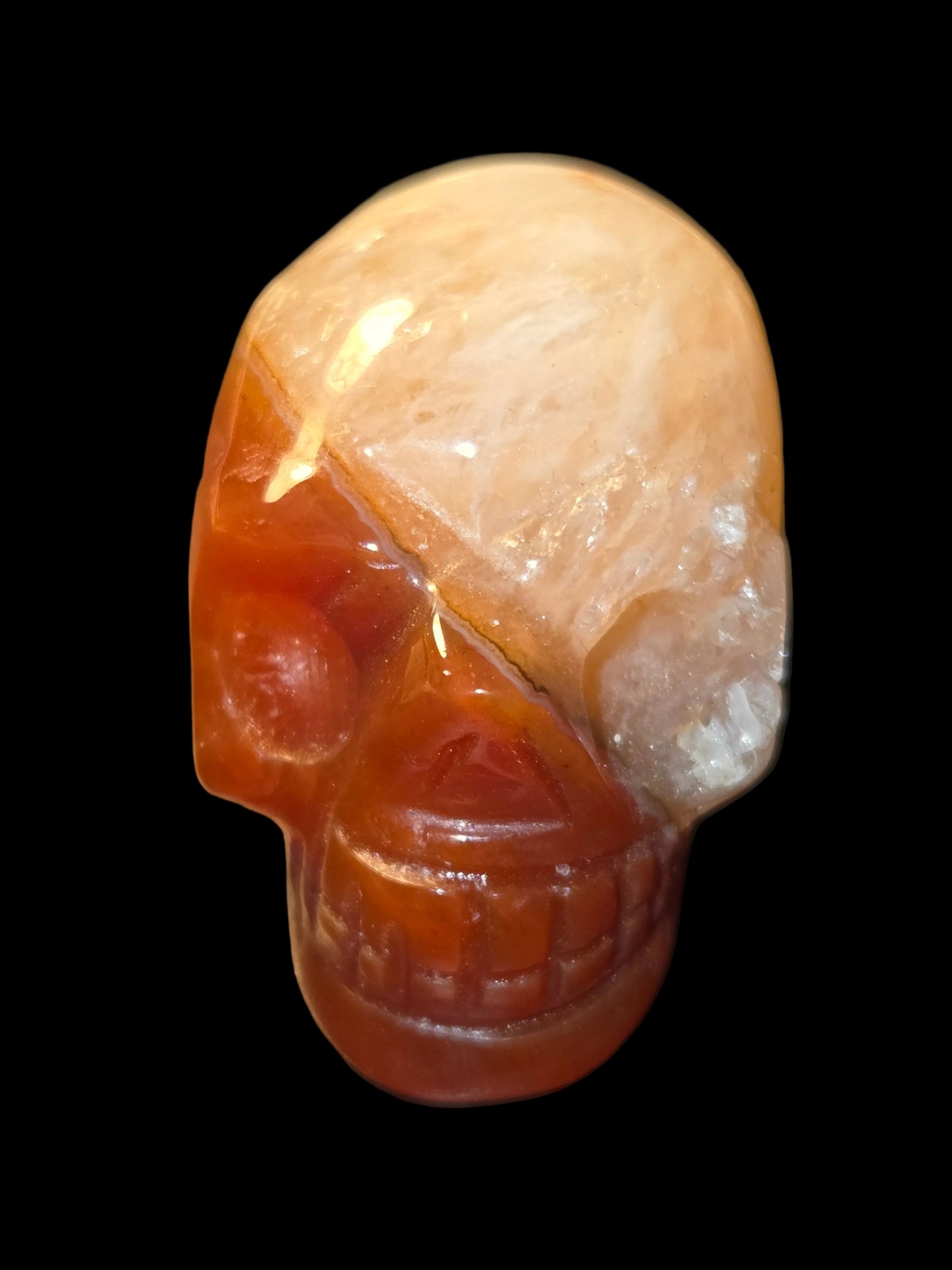 Carnelian lace skull