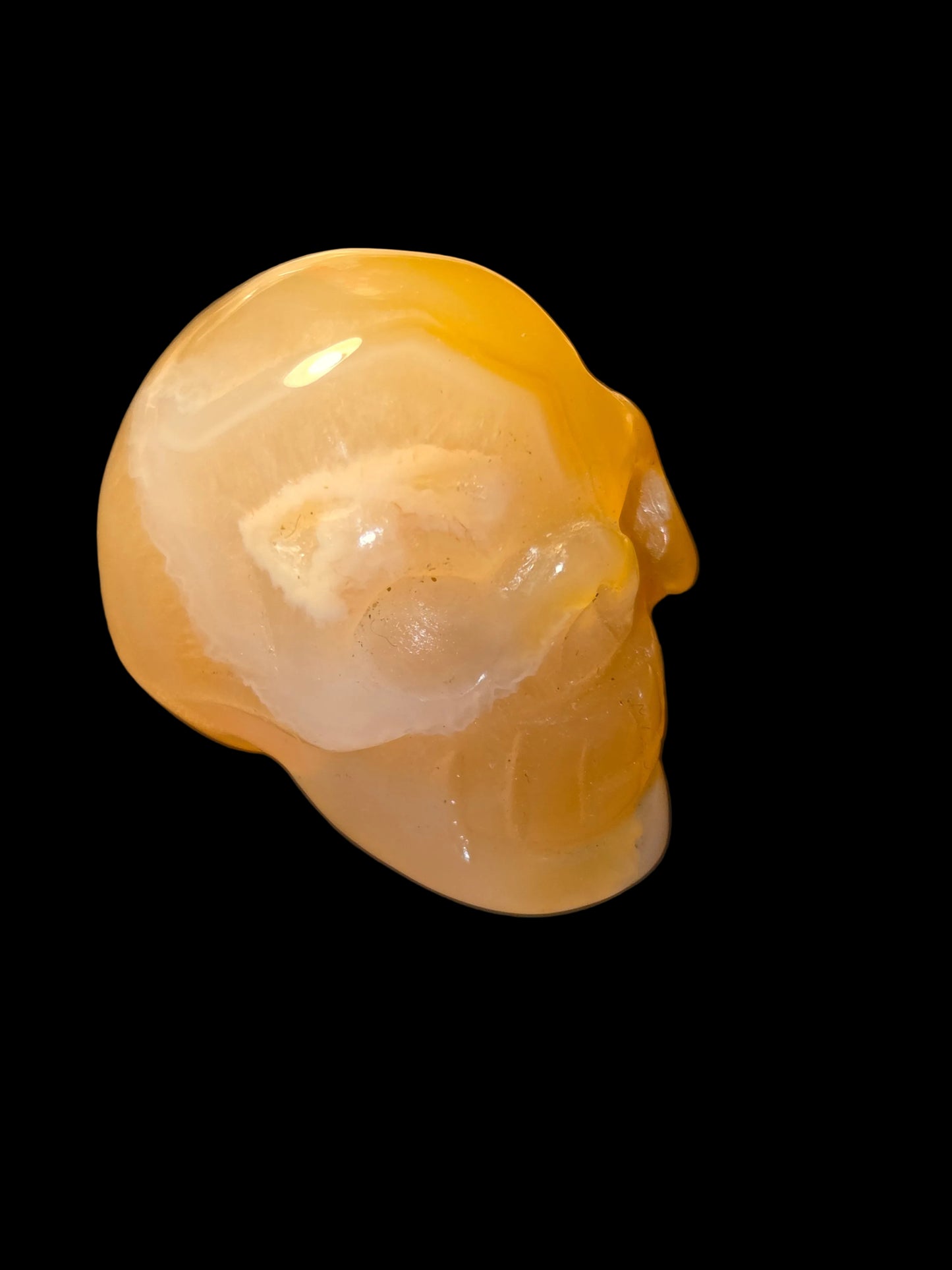 Lace agate skull