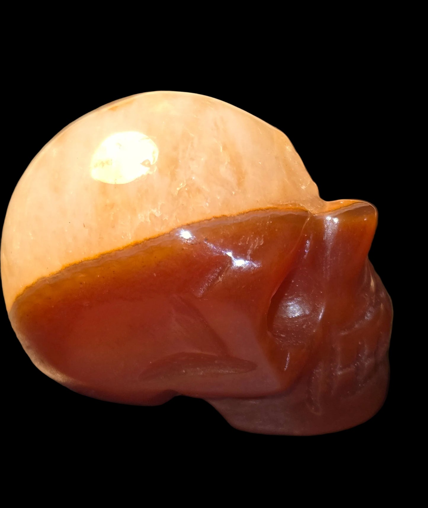 Carnelian lace skull