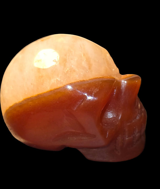 Carnelian lace skull