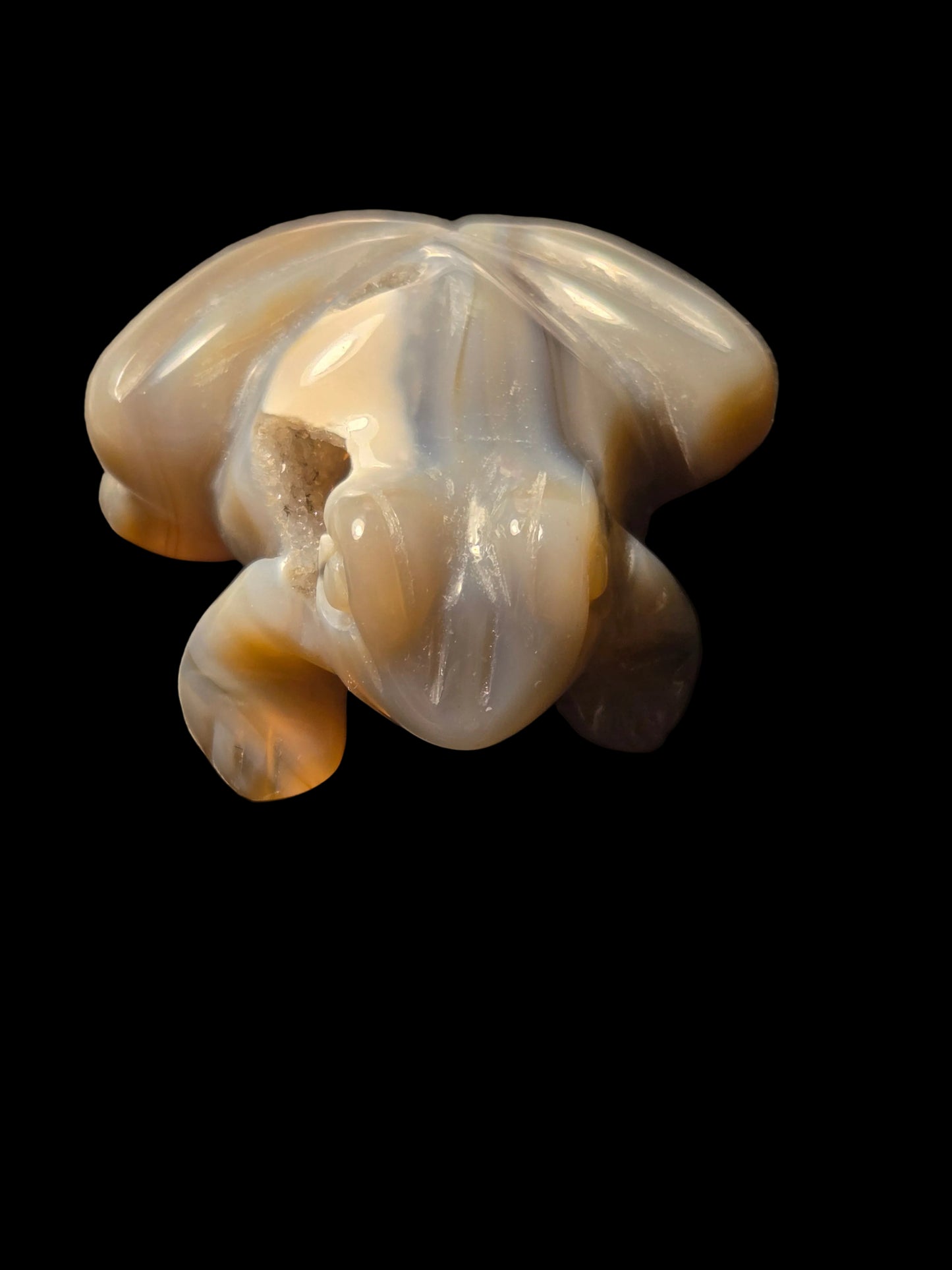 Blue lace agate frog