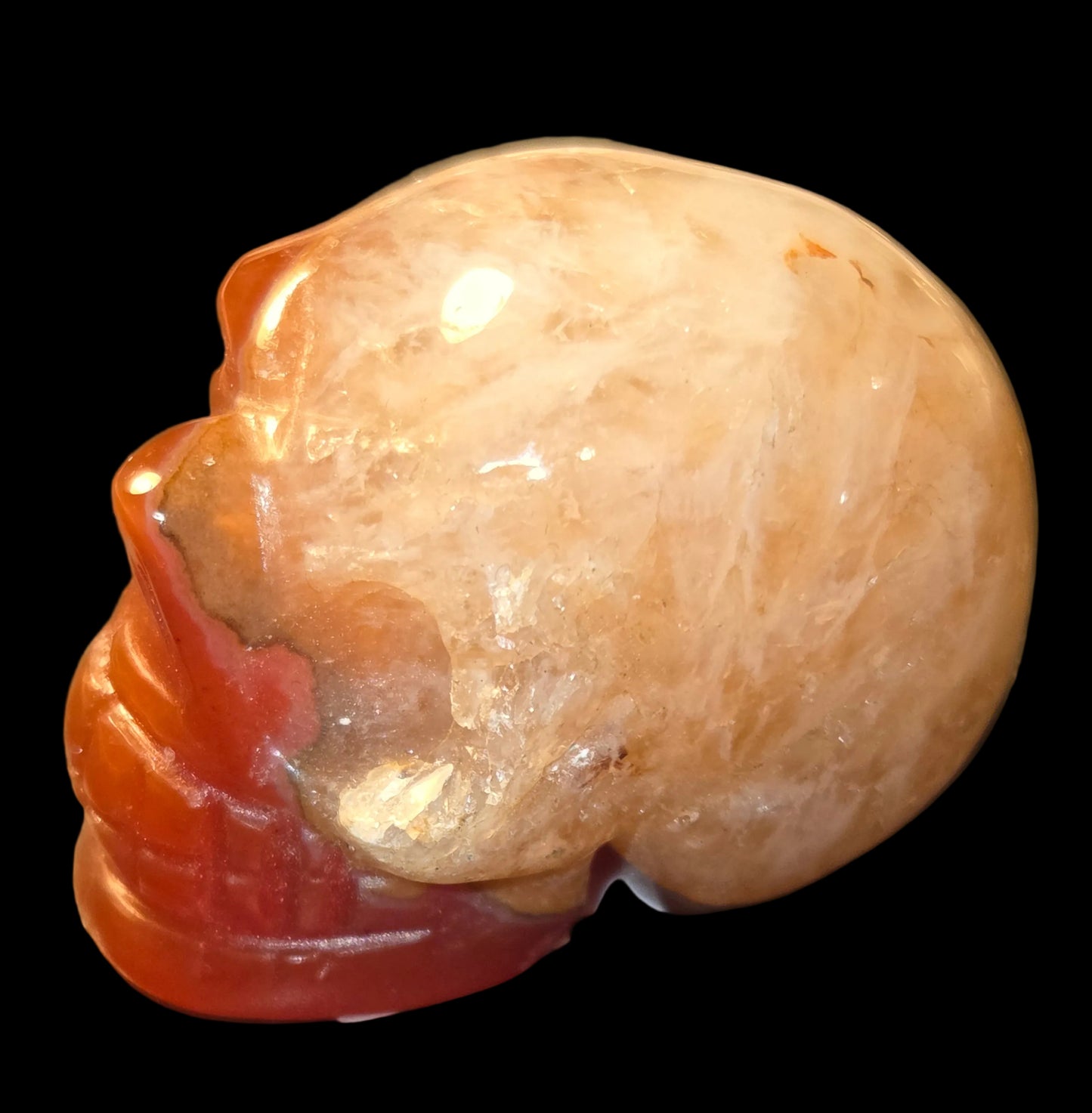 Carnelian lace skull